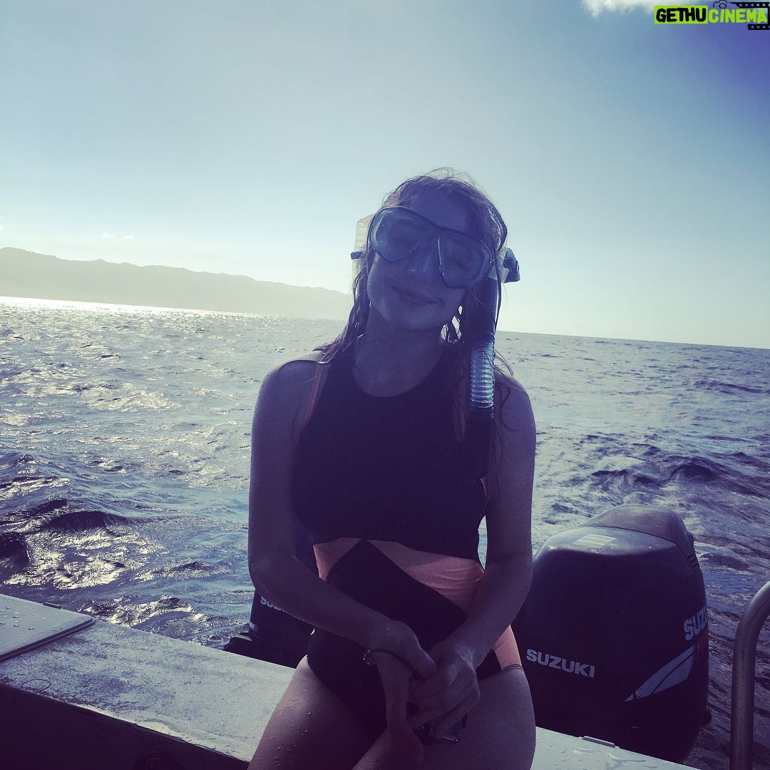 Hannah Kasulka - 2.2K Likes - In honor of #SharkWeek here's a #tbt of me after snorkeling with sharks with @oneoceandiving. Before you freak out here's some facts: Your odds of dying from a shark attack are 1 in 3,748,067. Your odds of dying from a car accident are 1 in 114. After swimming with them I can attest that driving is WAY scarier than sharks. We need sharks for the health of our planet and to continue to portray sharks as mindless killing machines threatens the safety of this vital species. Losing these important predators could have detrimental affects on our oceans and our planet. Click the link in my bio to tell Congress we need a #FinBanNow 🦈💙