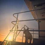 Hannah Kasulka Instagram - This lifeguard can barely swim