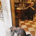 Hannah Kasulka Instagram - Y’all thought I was done posting Italy pics? Venice, Italy