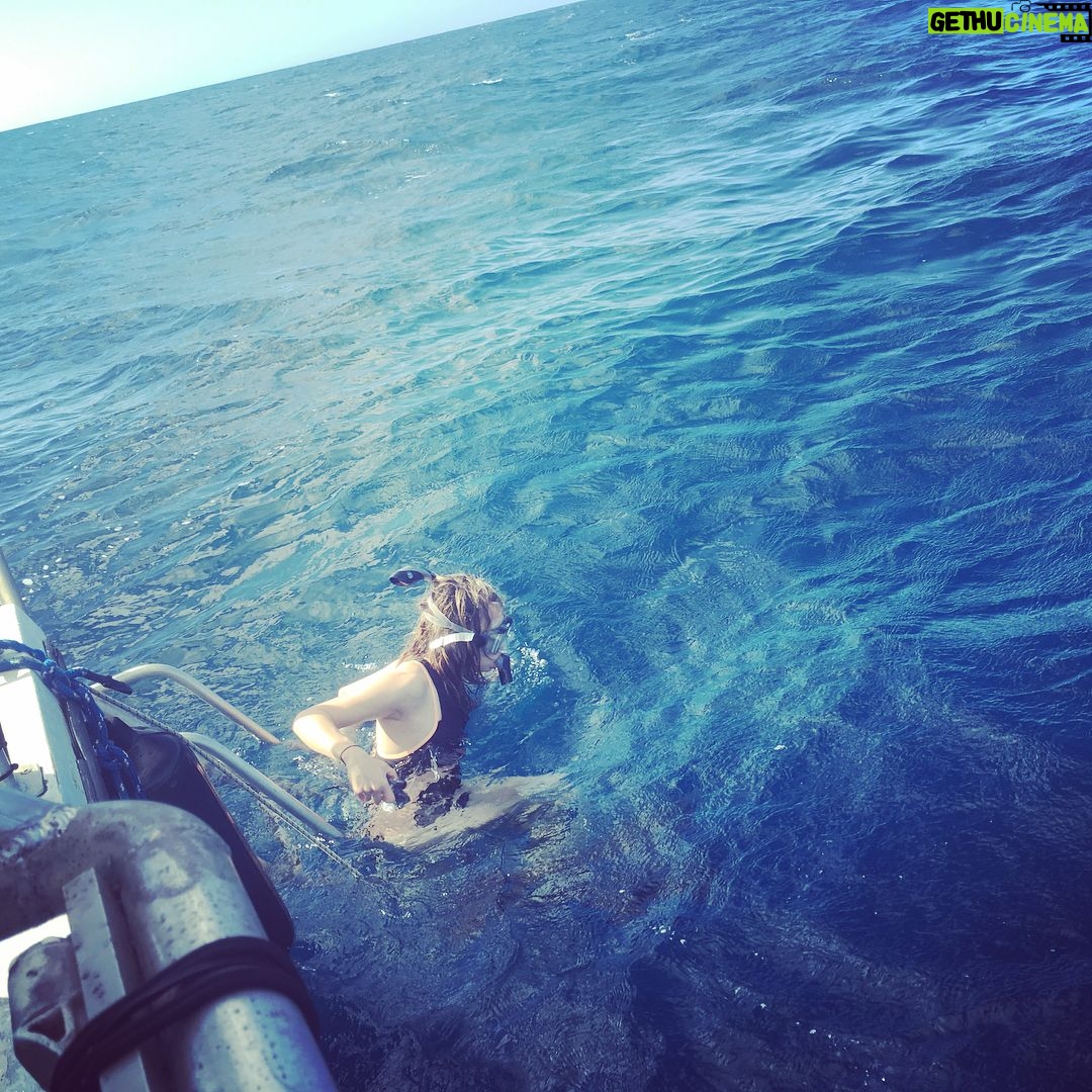 Hannah Kasulka - 2.2K Likes - In honor of #SharkWeek here's a #tbt of me after snorkeling with sharks with @oneoceandiving. Before you freak out here's some facts: Your odds of dying from a shark attack are 1 in 3,748,067. Your odds of dying from a car accident are 1 in 114. After swimming with them I can attest that driving is WAY scarier than sharks. We need sharks for the health of our planet and to continue to portray sharks as mindless killing machines threatens the safety of this vital species. Losing these important predators could have detrimental affects on our oceans and our planet. Click the link in my bio to tell Congress we need a #FinBanNow 🦈💙