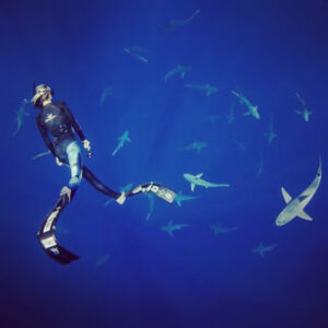 Hannah Kasulka Instagram - In honor of #SharkWeek here's a #tbt of me after snorkeling with sharks with @oneoceandiving. Before you freak out here's some facts: Your odds of dying from a shark attack are 1 in 3,748,067. Your odds of dying from a car accident are 1 in 114. After swimming with them I can attest that driving is WAY scarier than sharks. We need sharks for the health of our planet and to continue to portray sharks as mindless killing machines threatens the safety of this vital species. Losing these important predators could have detrimental affects on our oceans and our planet. Click the link in my bio to tell Congress we need a #FinBanNow 🦈💙