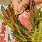 Hannah Kasulka Instagram - Just found out that according to research, acts of kindness have a bigger impact on our happiness when we perform them all at once rather than sporadically. The holidays can be hard for many so maybe pick a day to pack your day with 5 acts of kindness. Some ideas : ✨ donate clothes ✨ buy an unhoused person food ✨ donate blankets/towels to an animal shelter ✨ compliment a stranger ✨ feed the parking meter Any ideas?