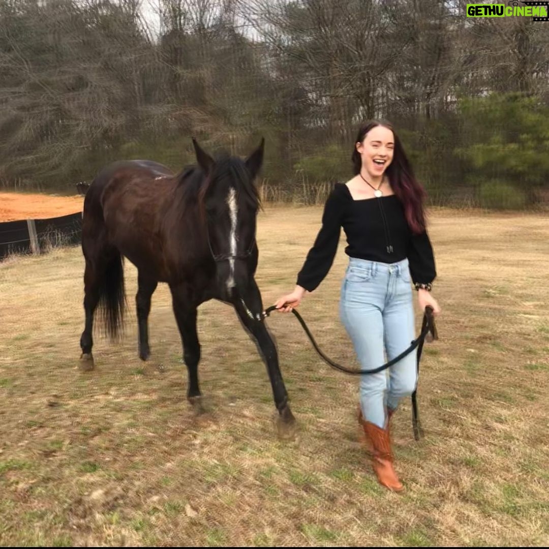 Hannah Kasulka - 3.3K Likes - 🐴 Fun fact: if you feed a horse it will remember you for 7 years. I too will remember you if you feed me for 7 years. Still dreaming of @duckduckgoatchi @uchiaustin & ms faye’s sweet peas 🤠 🤤