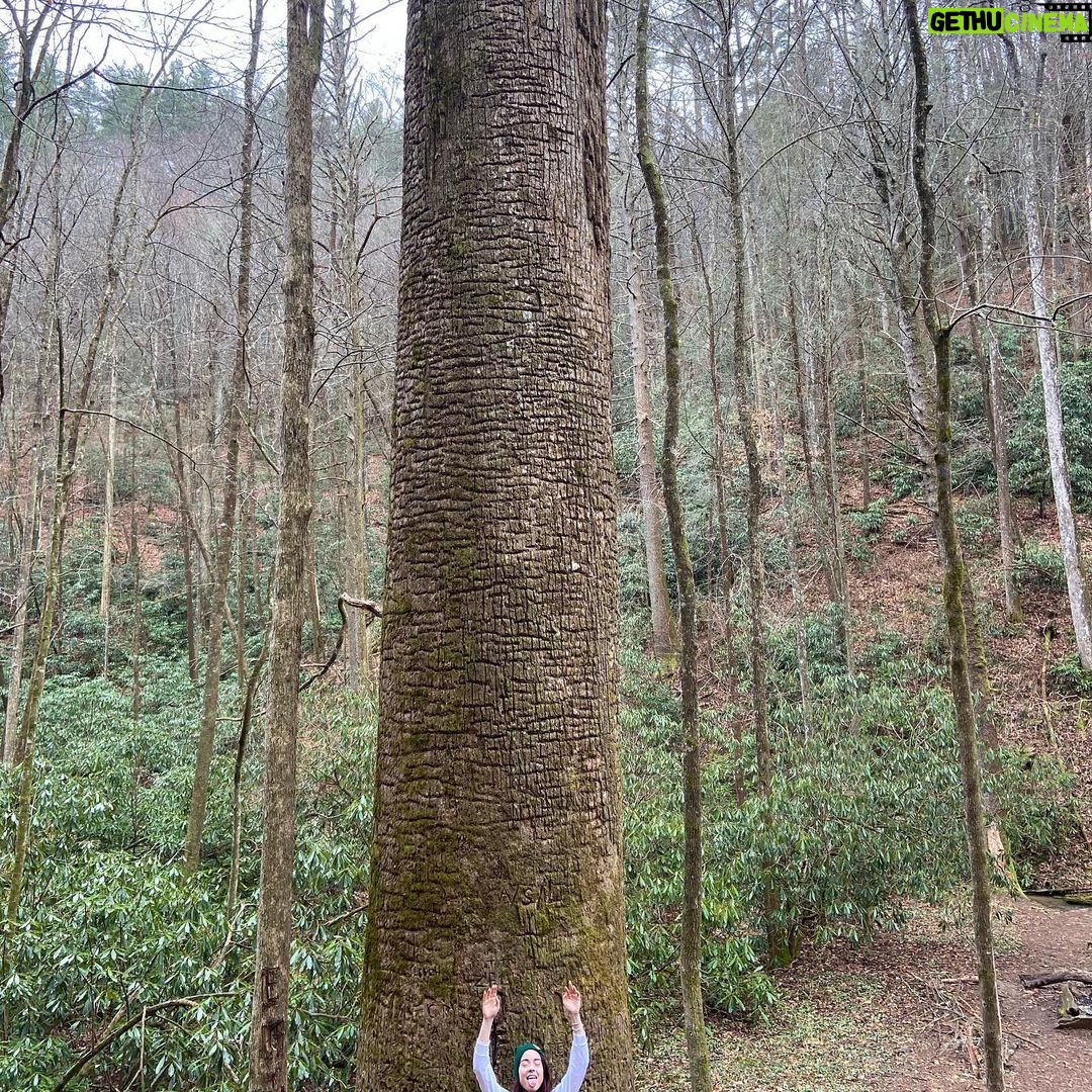 Hannah Kasulka - 3.1K Likes - Had the best time staying @mulberrygapadvbasecamp & exploring Elijay🌲 💚