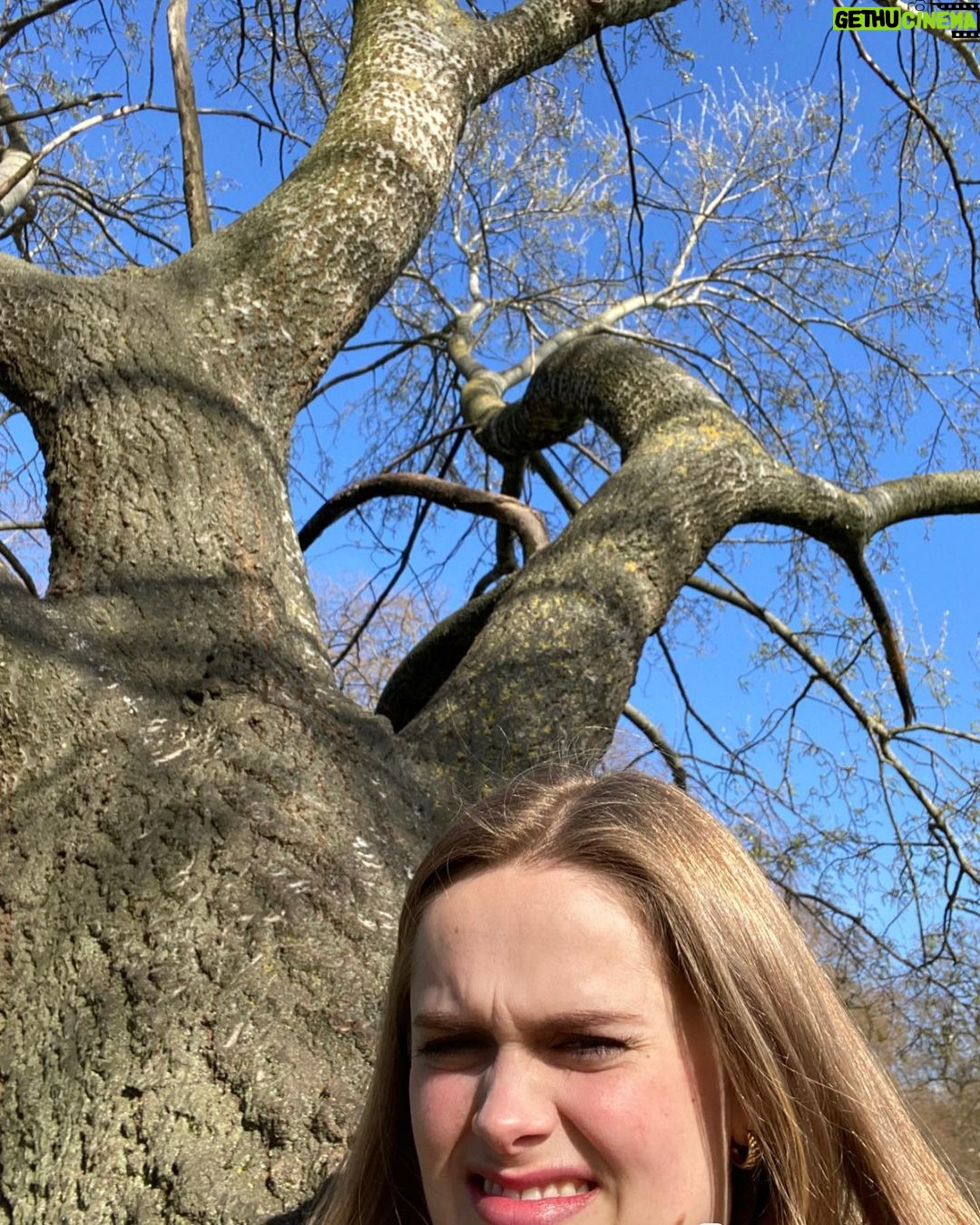Hannah Nordberg Instagram - Trying to take photos of myself just isn’t the same as you can see