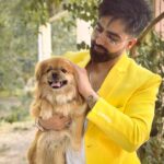 Harrdy Sandhu Instagram - 🐾🐾 💛 @ginger_thesneekypup