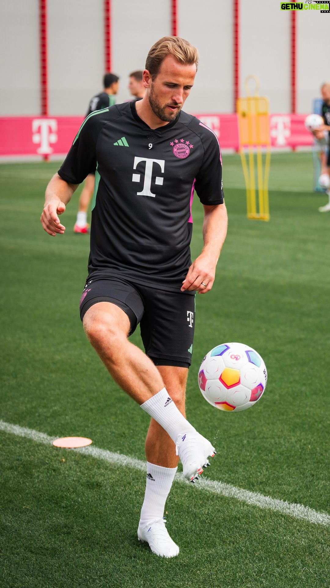 Harry Kane - 354.5K Likes - ⚽🆙🤝
#FCBayern #MiaSanMia