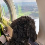 Harry Lewis Instagram - First flight @herbontour