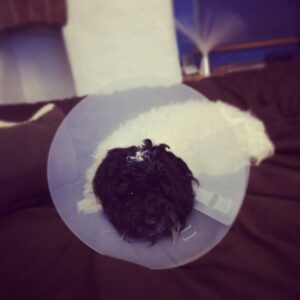 Harry Lewis Instagram - LOL YOU HAVE NO BALLS