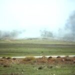 Hassan Pourshirazi Instagram - فیلم قسم برنامه سینماهای سراسر کشور