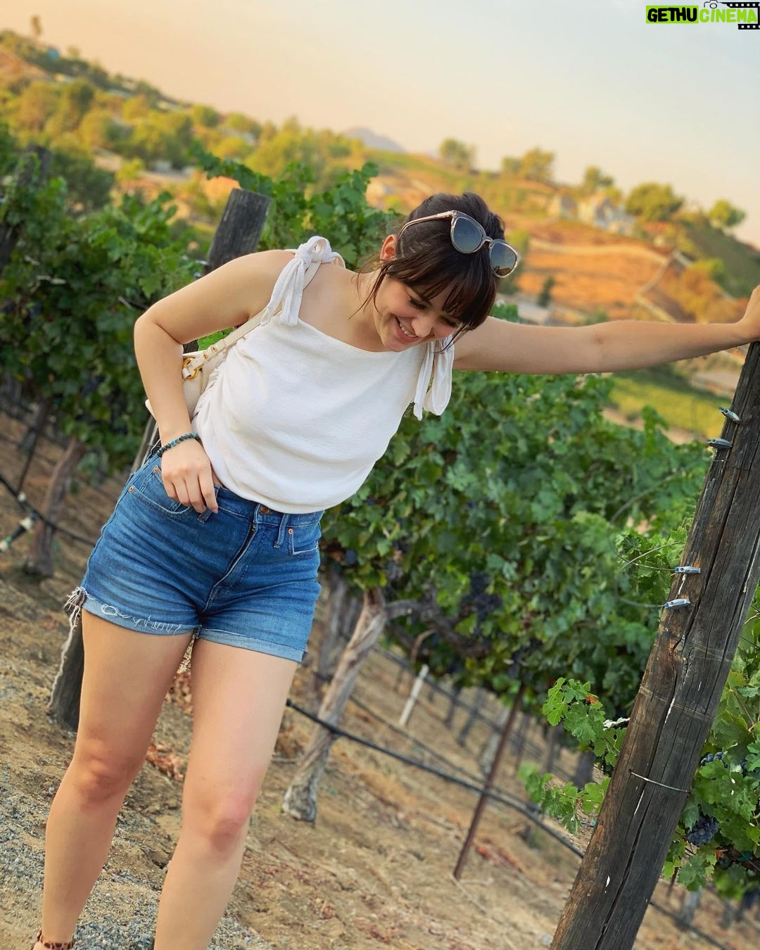 Hayley Orrantia - 10.4K Likes - as the wine slowly kicks in🍷