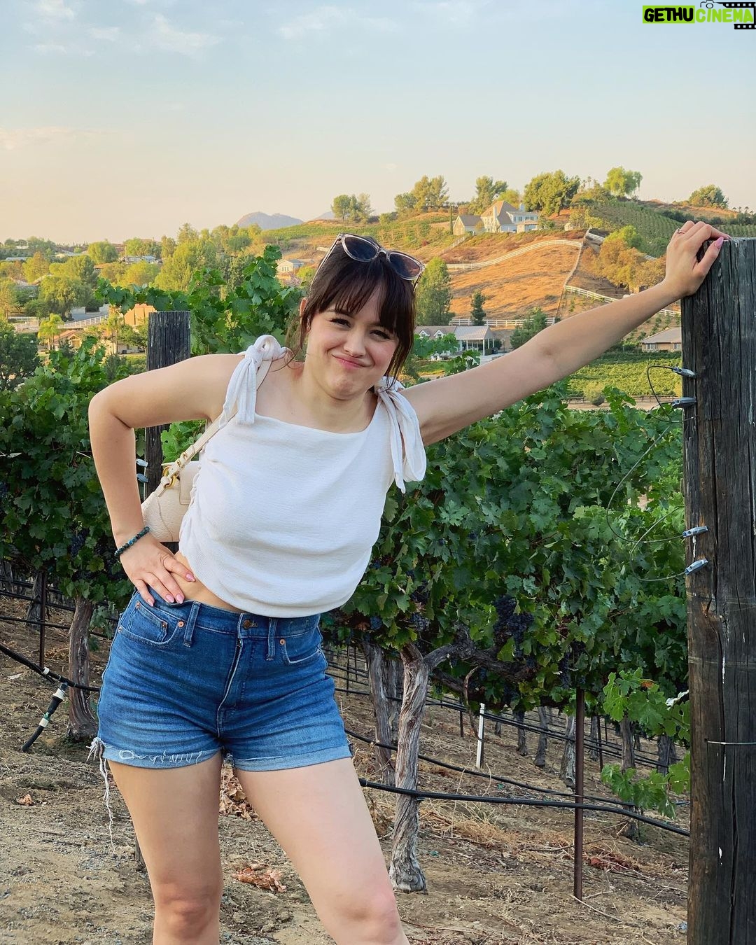 Hayley Orrantia - 10.4K Likes - as the wine slowly kicks in🍷