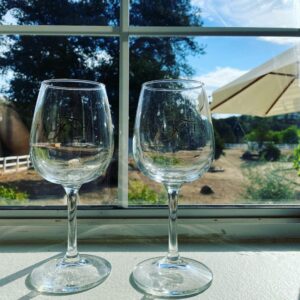 Hayley Orrantia Instagram - cause wine not? 🍷