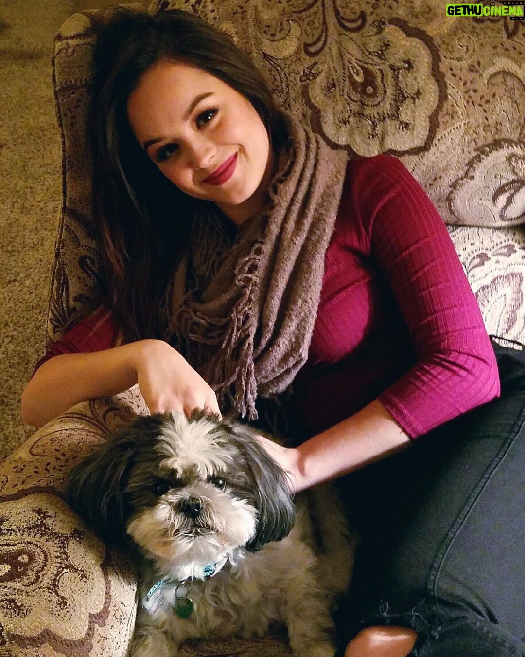 Hayley Orrantia - 13K Likes - It’s with a very heavy heart that I tell you that our sweet dog, Gizmo, has passed away today. Just two days before his 15th birthday but what an amazing life he has lived. Gizmo was attached at the hip to my father and travelled all over the country with us as a family. He took on more than the role of the family dog and has been there through many ups and downs. He was deeply loved by us and our friends and he will be incredibly missed. 🕊️💜