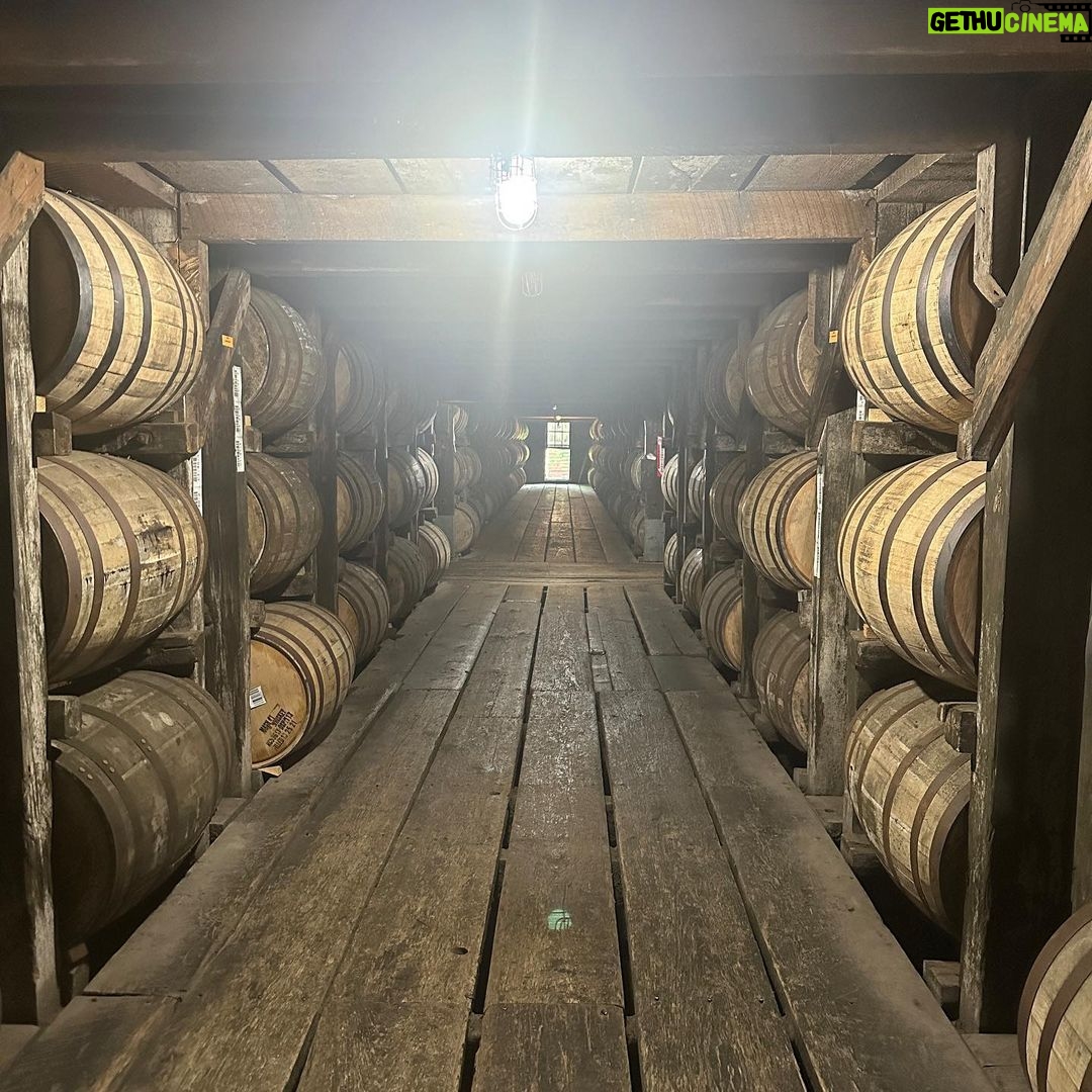 Hayley Orrantia - 6.9K Likes - I had such an awesome time with my dad in Kentucky this weekend exploring Frankfort and some of the distilleries there. Thank you @buffalotracedistillery for showing us around your incredible property! Shout out to Freddie, our sweet guide, as well as Matt, Rebecca and Mark for making it happen! Can’t wait to come back and visit again 🥃