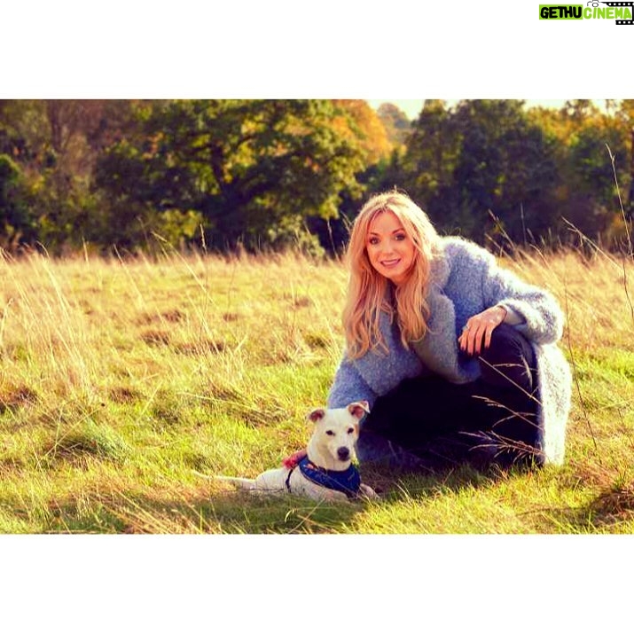 Helen George Instagram - Cheesy dog posing for James Wellbeloved UK