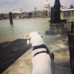 Helen George Instagram - Summer ☀️