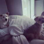 Helen George Instagram - Nap time 💤