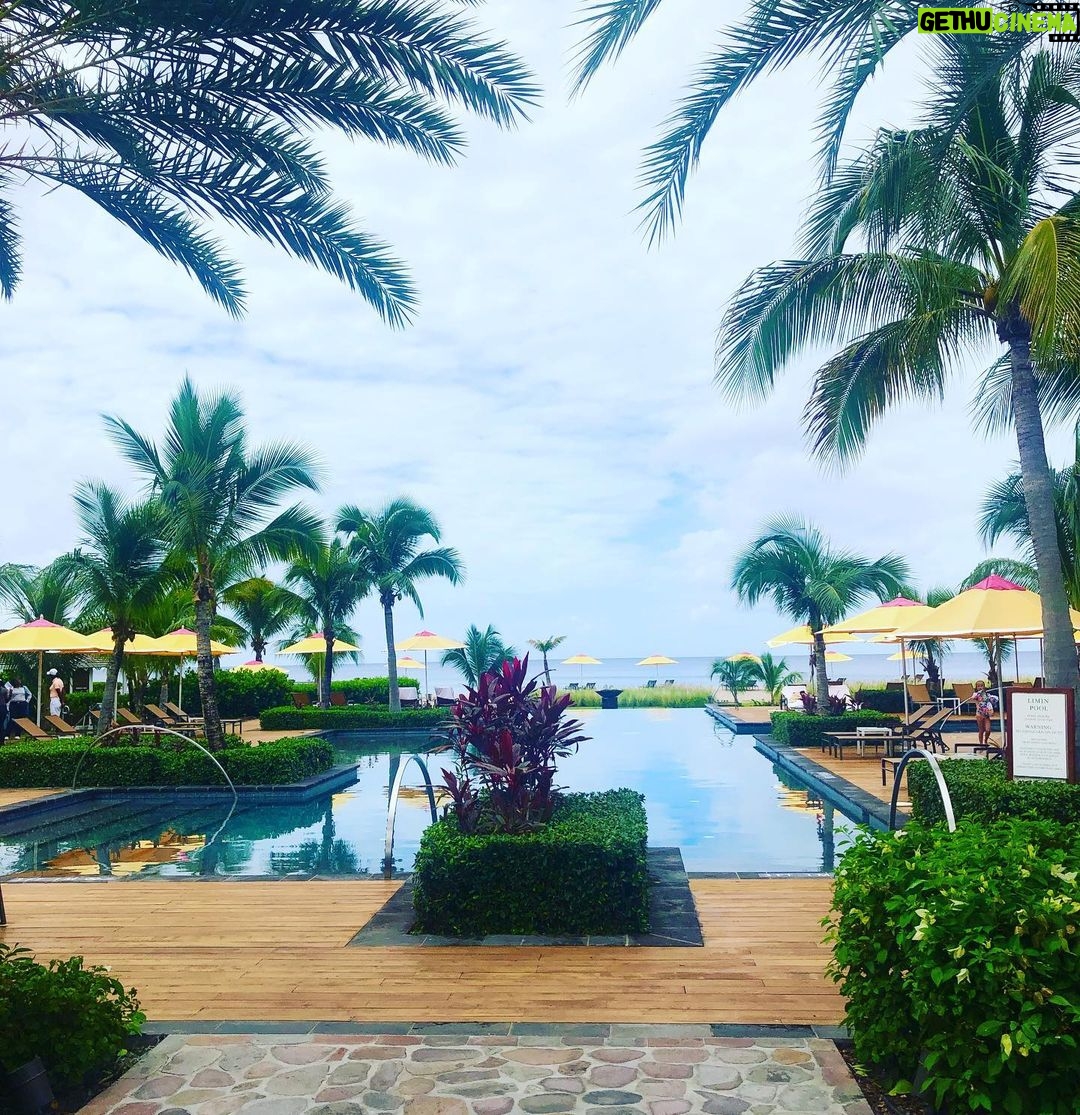 Helena Mattsson Instagram - Morning view ☕️