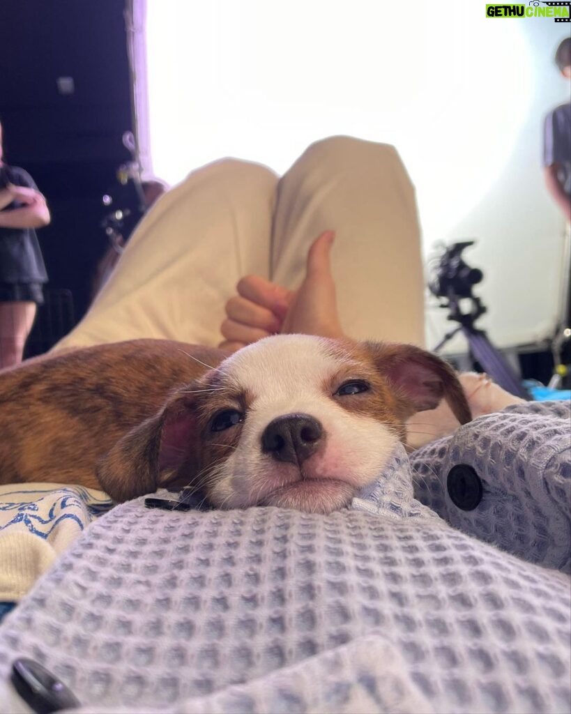 Hendery Instagram - Puppy~