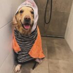 Hendrik Streeck Instagram - Aufgrund der zahlreichen Nachfragen: es folgte dann ein ausgiebiger Spa-Tag!☀️😂