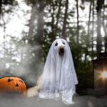 Hendrik Streeck Instagram - Happy Halloween!! 🎃