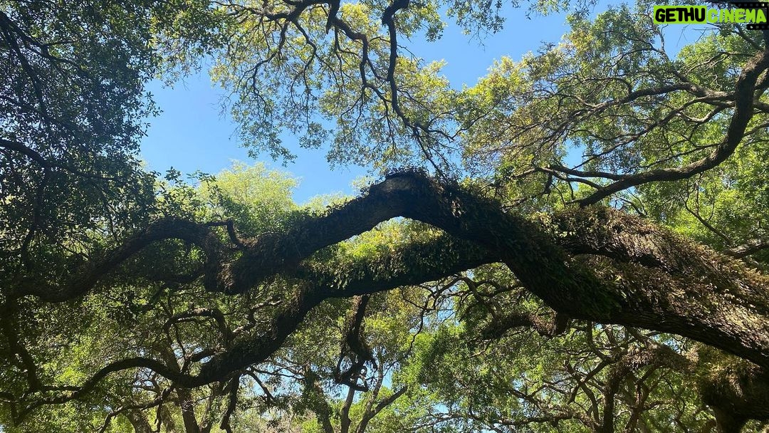Henny Russell Instagram - Bye-bye Tampa! Had a wonderful week teaching as USF. Back to NYC 🥶.