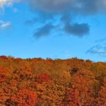 Henny Russell Instagram - Beautiful fall, in all its glory. New York