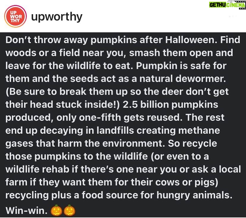Henny Russell Instagram - GREAT IDEA!!! 🎃🦌