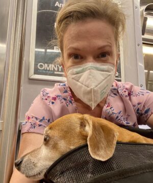 Henny Russell Instagram - One of joys of having a well-trained dog is that I can take her with me. She came into my audition with me and just sat quietly in her bag. I get compliments from strangers every single day on my well-behaved dog. It takes time & training, but it’s so worth it!!! And she’s a very happy pup! (Ward gets credit for the training!) #Chiweenie #ShelterDog #Spayed #TrainYourDog 💕