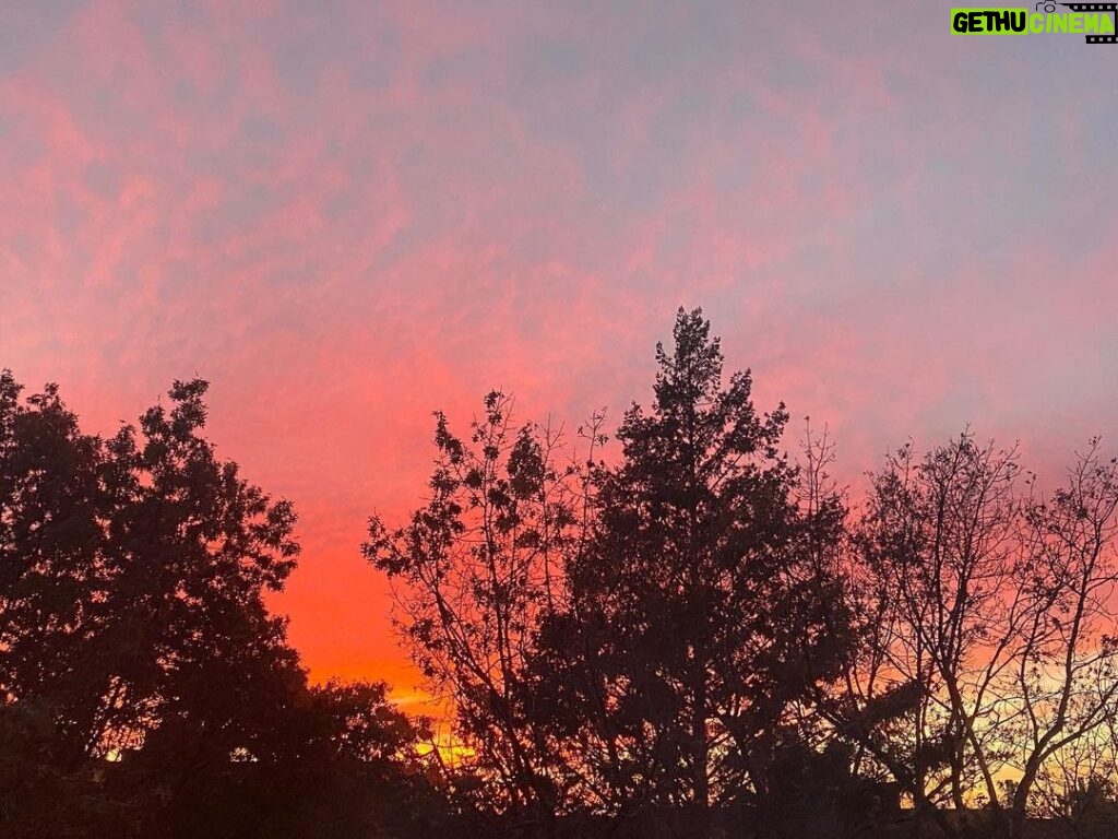 Henny Russell Instagram - Spectacular sunset tonight! So grateful my home faces west so we get to see this beauty. #sunset #grateful New York City, N.Y.