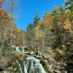 Henny Russell Instagram - Glorious weekend upstate with friends. I so love the fall! #nofilter #fall #i❤️fall #oldfriendsarethebestfriends #chiweenie New York