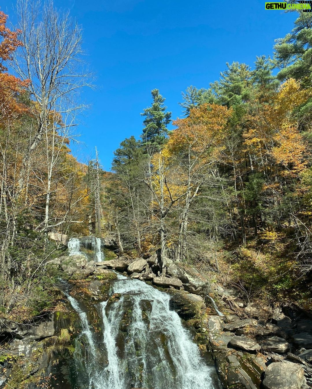 Henny Russell Instagram - Glorious weekend upstate with friends. I so love the fall! #nofilter #fall #i❤️fall #oldfriendsarethebestfriends #chiweenie New York