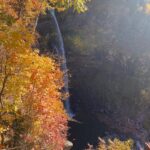 Henny Russell Instagram - Glorious weekend upstate with friends. I so love the fall! #nofilter #fall #i❤️fall #oldfriendsarethebestfriends #chiweenie New York