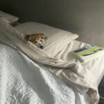 Henny Russell Instagram - You coming to bed or what? I’m sleepy.