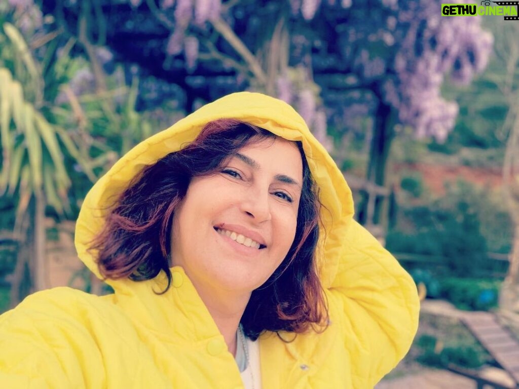 Hilal Saral Instagram - Sarı güneşin rengi ve geçiciliği temsil edermiş, yani geçiyor 🤗🤗