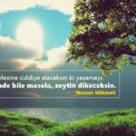 Hilal Saral Instagram - #zeytinimedokunma🌿🍃🌿