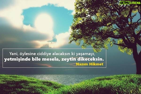 Hilal Saral Instagram - #zeytinimedokunma🌿🍃🌿