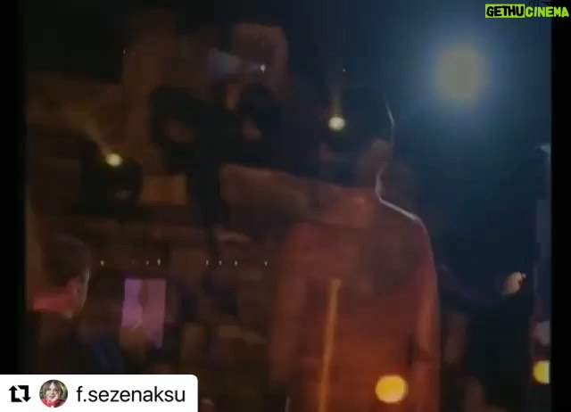 Hilal Saral Instagram - Bir güzel orman olur……