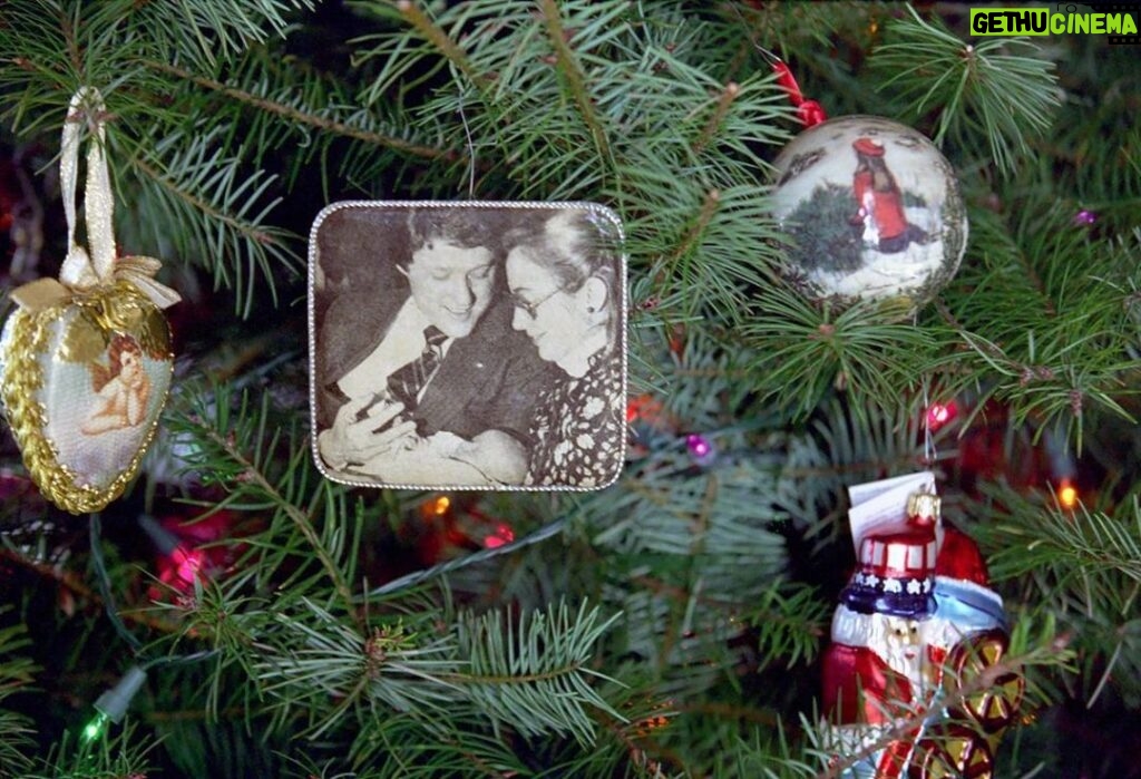 Hillary Clinton Instagram - One of our ornaments hanging on the Christmas tree in the Blue Room, 1996. How are you getting ready for the holidays? #tbt⁣ ⁣ Photo: Ralph Alswang