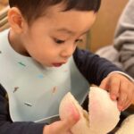 Him Law Instagram - Happy Boxing Day🎄🎄🎄 @tavia_yeung
