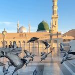 Hina Khan Instagram - کیا بتاؤں کہ کیا ہے دیدار مدینہ @alkhalidtours #umrahwithakt Madina Munawara