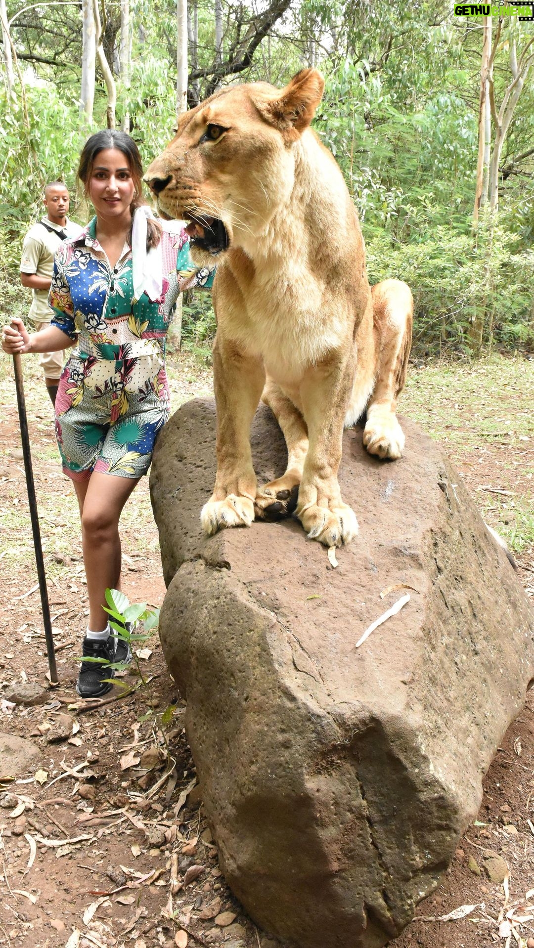 Hina Khan Instagram - There is nothing more beautiful, peaceful, therapeutic and joyful thn animals of all shapes and sizes..we all have been to so many zoos in our childhood but trust me this is SOME adventure.. Its a very different experience to visit the animals on a quad bike (up close) in their own natural habitat whr you can touch them, play with them, pet them π₯° They are so so gorgeous and super friendly.. Thank you @caselamauritius for this memorable experience, loved every bit of it π #reelsinstagram #animallovers #wildanimals #reelitfeelit #reelkarofeelkaro #trendingreels #jungle #naturelover #ReelsWithHK Casela Wildlife Park and Nature Reserve