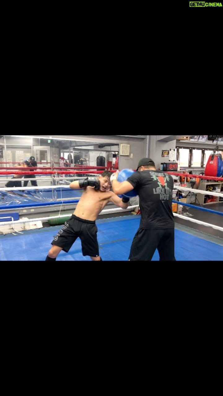 Hiroto Kyoguchi - 2.4K Likes - .
.
.
hard work🔥
#京口紘人 #hirotokyoguchi #boxing