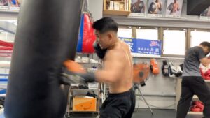 Hiroto Kyoguchi Instagram - .
.
.

training🥊

#京口紘人 #boxing
#たまにはトレーニング動画も
