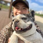Hiroto Kyoguchi Instagram - . . . holiday🌴🐶 #京口紘人 #hirotokyoguchi #散歩してる犬と遊ぶ遊びしてた #飼い主のおとうさんと40分くらい話した #めちゃくちゃデカいフレブルやった