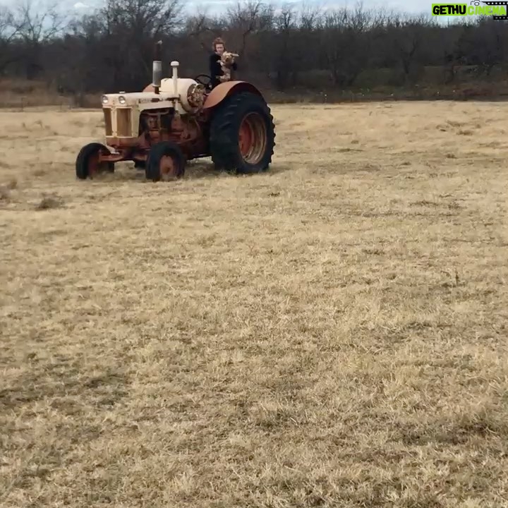 Holland Roden Instagram - For the last at least 6 years, this is what I sent to my bizarre best friend for Christmas. @coltonlhaynes and I share the common ground of not favoring physical gifts. Thus six years ago, when I asked @cherylbrown915 my mom to take a photo of me on their farm in Texas and send it to Colton bc he loves farms and was alone on Xmas (I know😫) - she just sent him a silent 12 sec video unbeknownst to her- Never have I ever seen Colton in such pure joy. He thrives on non flattering awkward situations of me. He calls it his favorite gift of all time. He looks forward to it every year. So on every morning of Dec 25th, this is where you will find me. Also my stepdad’s sigh in the 5th bc he is so annoyed we have to do this every year 🤣 Also my stepdad in the 6th getting more into it and wanting to be B camera for a different angle in front of Colton’s favorite fountain. Please enjoy my Christmas gifts to Colton for the last 6 years. He is also my first guest on the @howlerbacknowpodcast on @iheartradio where we discuss this very normal holiday tradition in our friendship. Link in Bio. The @teenwolf movie also comes out Jan 26th on @paramountplus but they declined to use these videos as promos. Rightfully so.