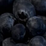 Holland Roden Instagram – 🫐 THE BLUEBERRY CHALLENGE 🫐
When you pick up that kid game making breakfast #blueberrychallenge #blueberrycouncil
How many can you consecutively catch?! @blueberries
#foodie #foodgames #fruit #breakfastideas #breakfast #stupidgames #yogurt
@ludacris