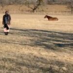 Holland Roden Instagram - For the last at least 6 years, this is what I sent to my bizarre best friend for Christmas. @coltonlhaynes and I share the common ground of not favoring physical gifts. Thus six years ago, when I asked @cherylbrown915 my mom to take a photo of me on their farm in Texas and send it to Colton bc he loves farms and was alone on Xmas (I know😫) - she just sent him a silent 12 sec video unbeknownst to her- Never have I ever seen Colton in such pure joy. He thrives on non flattering awkward situations of me. He calls it his favorite gift of all time. He looks forward to it every year. So on every morning of Dec 25th, this is where you will find me. Also my stepdad’s sigh in the 5th bc he is so annoyed we have to do this every year 🤣 Also my stepdad in the 6th getting more into it and wanting to be B camera for a different angle in front of Colton’s favorite fountain. Please enjoy my Christmas gifts to Colton for the last 6 years. He is also my first guest on the @howlerbacknowpodcast on @iheartradio where we discuss this very normal holiday tradition in our friendship. Link in Bio. The @teenwolf movie also comes out Jan 26th on @paramountplus but they declined to use these videos as promos. Rightfully so.