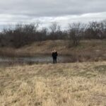 Holland Roden Instagram - For the last at least 6 years, this is what I sent to my bizarre best friend for Christmas. @coltonlhaynes and I share the common ground of not favoring physical gifts. Thus six years ago, when I asked @cherylbrown915 my mom to take a photo of me on their farm in Texas and send it to Colton bc he loves farms and was alone on Xmas (I know😫) - she just sent him a silent 12 sec video unbeknownst to her- Never have I ever seen Colton in such pure joy. He thrives on non flattering awkward situations of me. He calls it his favorite gift of all time. He looks forward to it every year. So on every morning of Dec 25th, this is where you will find me. Also my stepdad’s sigh in the 5th bc he is so annoyed we have to do this every year 🤣 Also my stepdad in the 6th getting more into it and wanting to be B camera for a different angle in front of Colton’s favorite fountain. Please enjoy my Christmas gifts to Colton for the last 6 years. He is also my first guest on the @howlerbacknowpodcast on @iheartradio where we discuss this very normal holiday tradition in our friendship. Link in Bio. The @teenwolf movie also comes out Jan 26th on @paramountplus but they declined to use these videos as promos. Rightfully so.